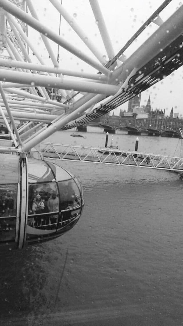 Place London Eye