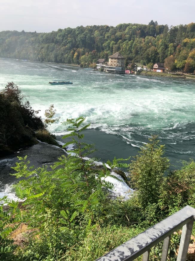 Lugar Rhine Falls