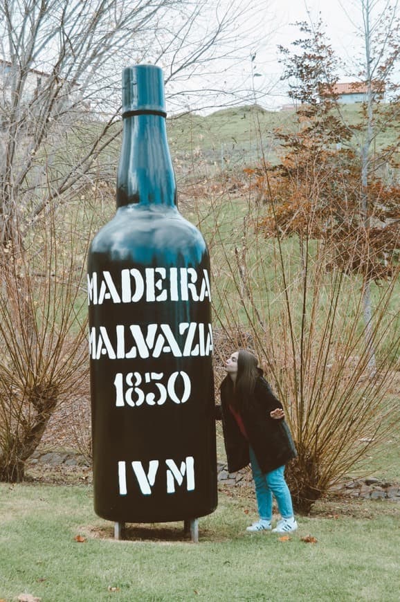 Place Parque Temático da Madeira