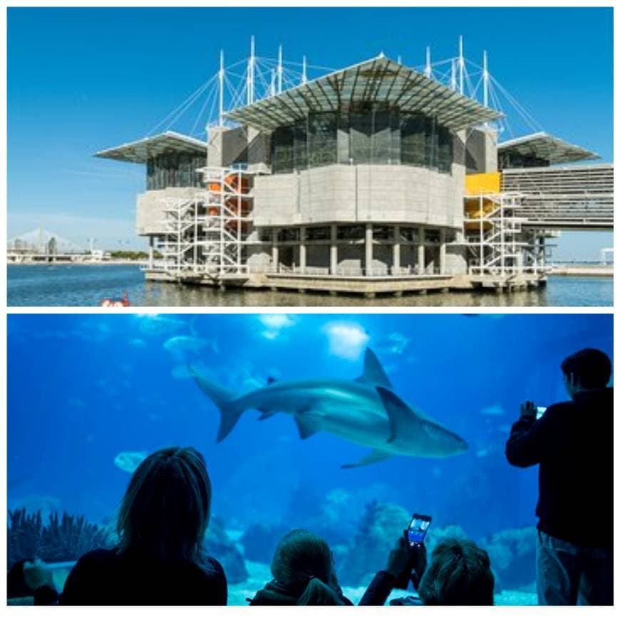 Place Oceanario de Lisboa