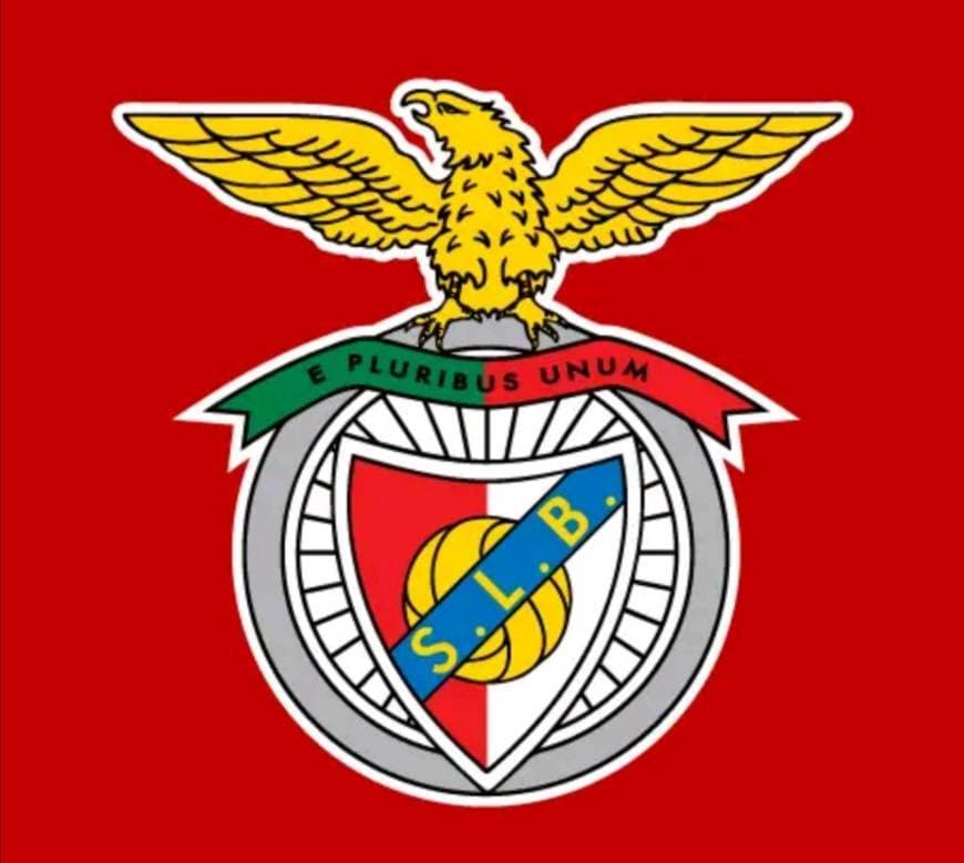 Fashion Benfica Oficial 