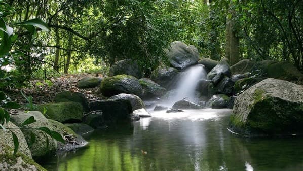 Place Parque Gulbenkian