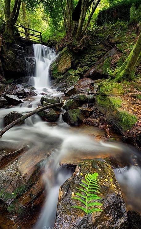 Lugar Cascata da Cabreia