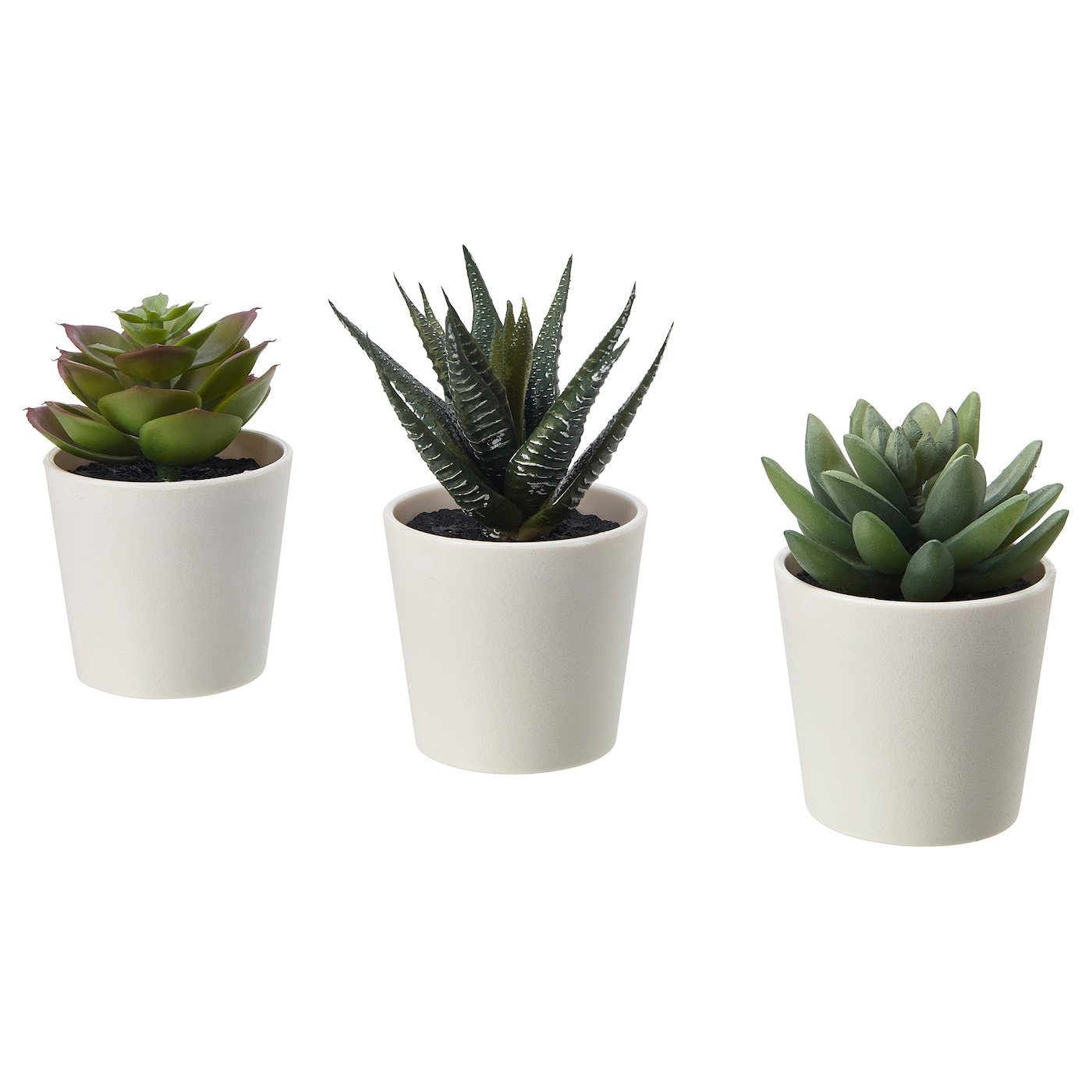 Fashion Planta artificial Suculenta - IKEA