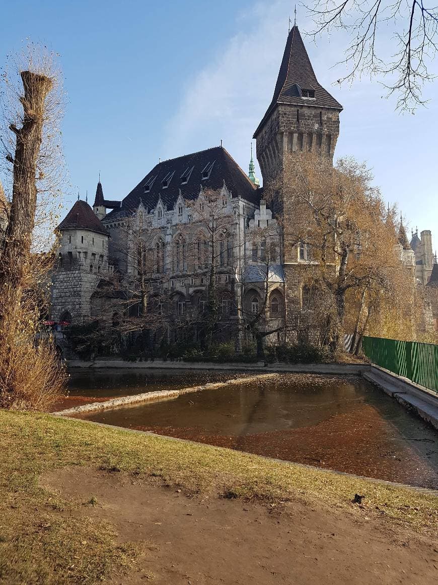 Place Castillo de Vajdahunyad