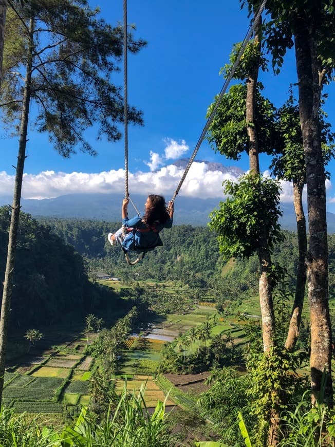 Lugar Bali Swing