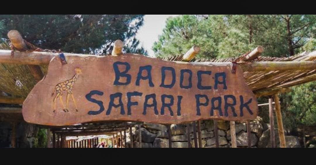 Place Badoca Safari Park