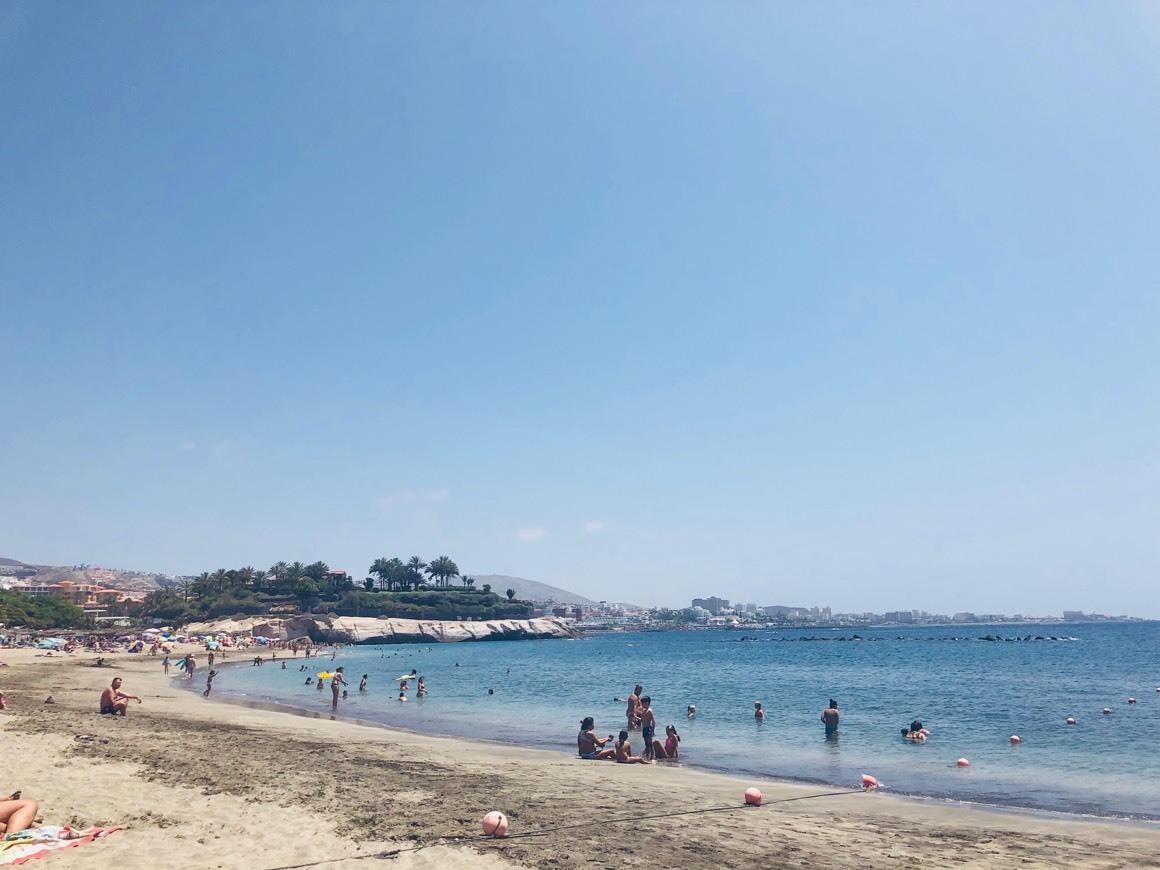 Lugar Playa de Fañabé