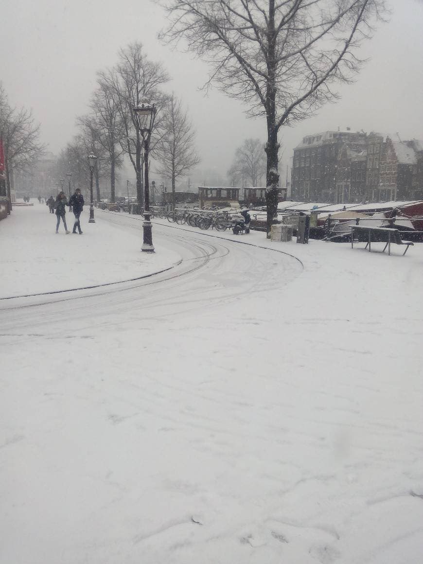 Place Barrio rojo de Ámsterdam