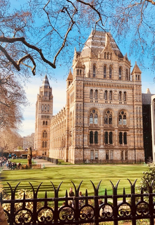 Place Natural History Museum