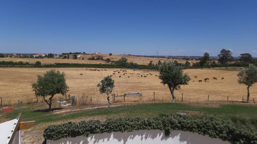 Lugar Herdade Dos Montes Bastos