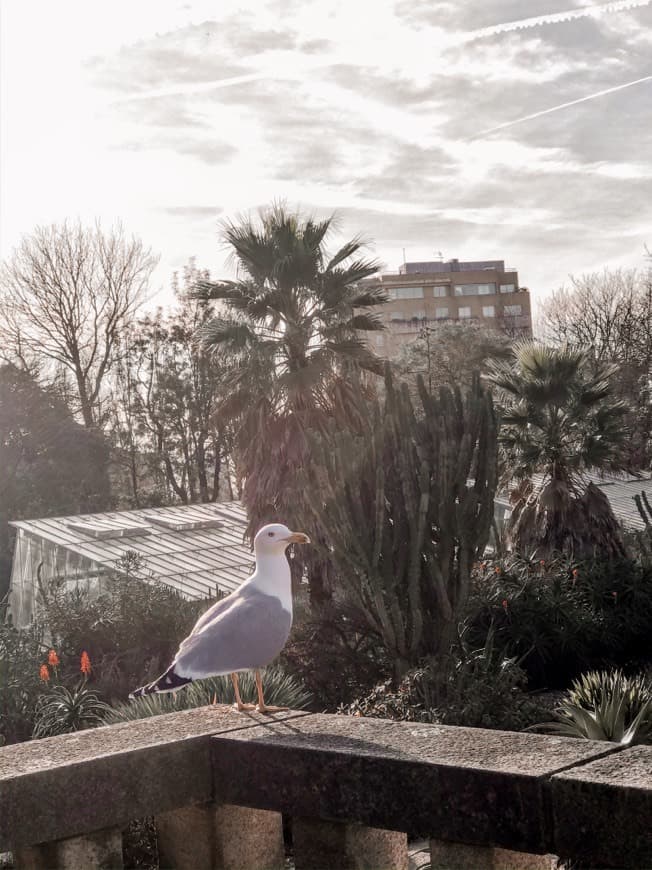 Place Jardim Botânico