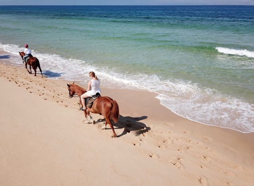 Lugar Cavalos na Areia