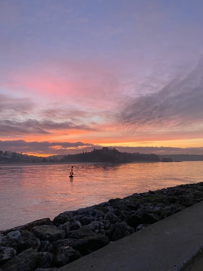 Lugar Marina Portimão