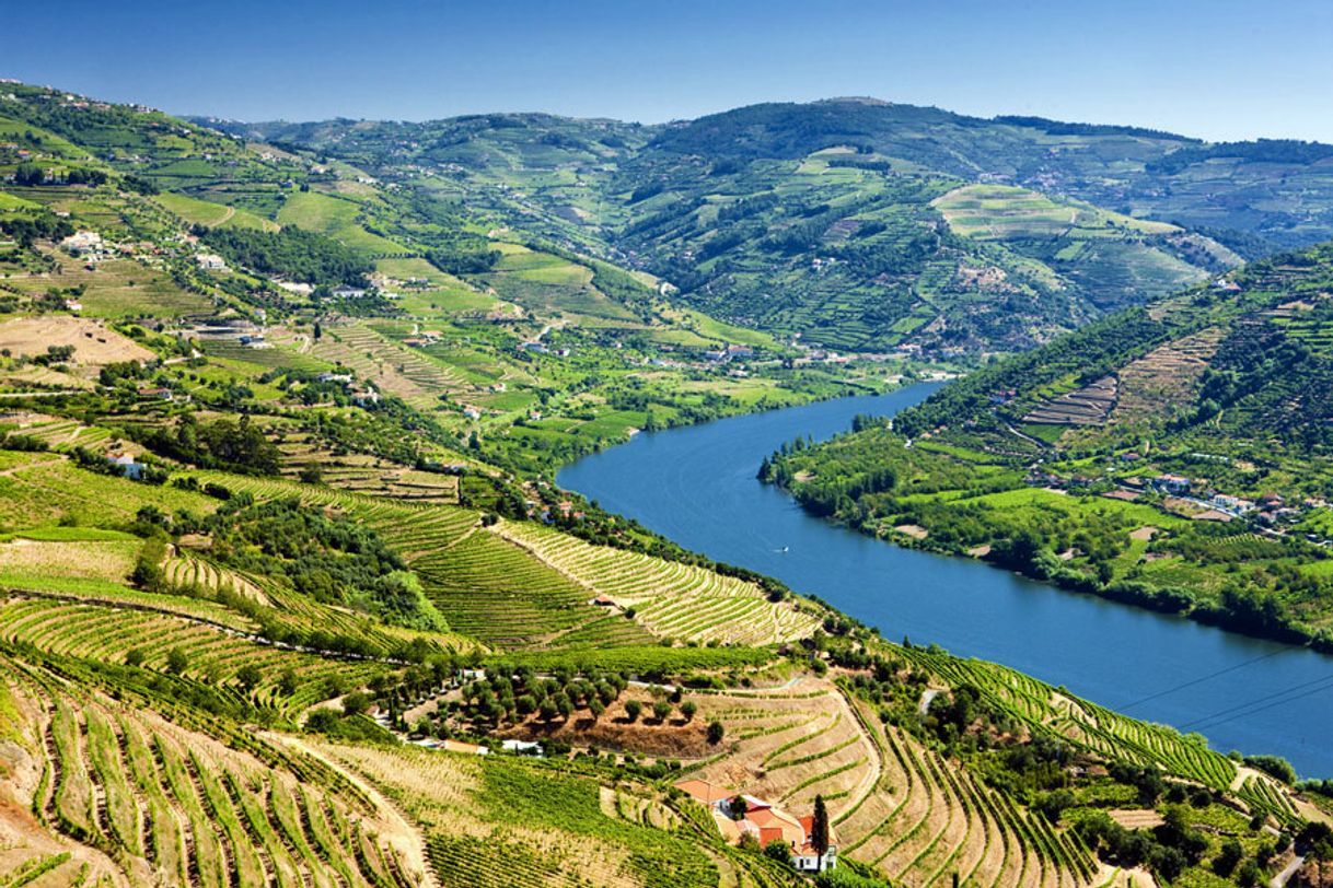 Lugar Douro