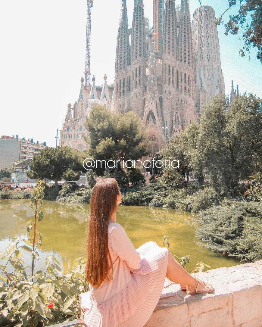 Lugar Catedral de Barcelona