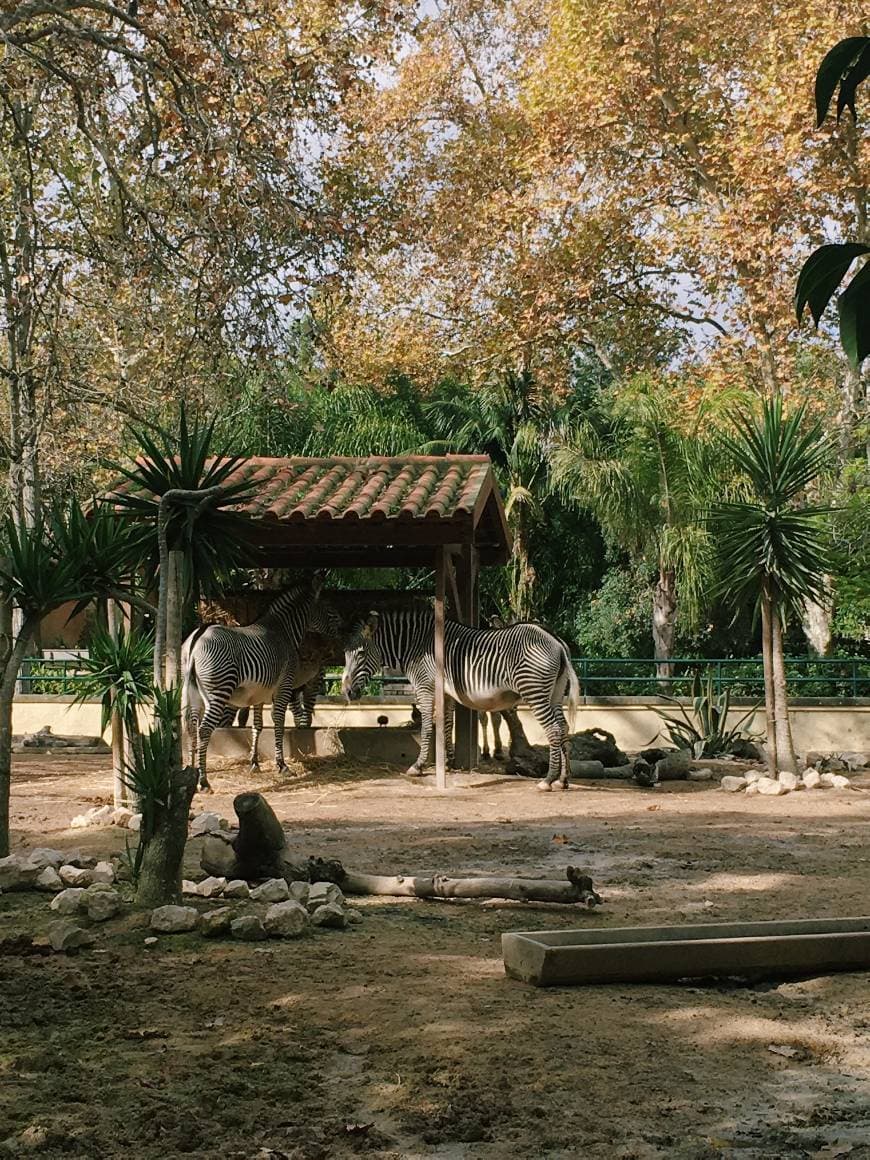 Lugar Jardim Zoológico de Lisboa