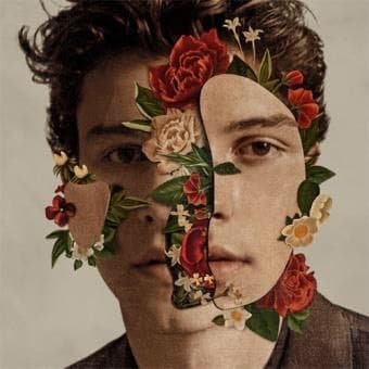 Canción Shawn Mendes CD