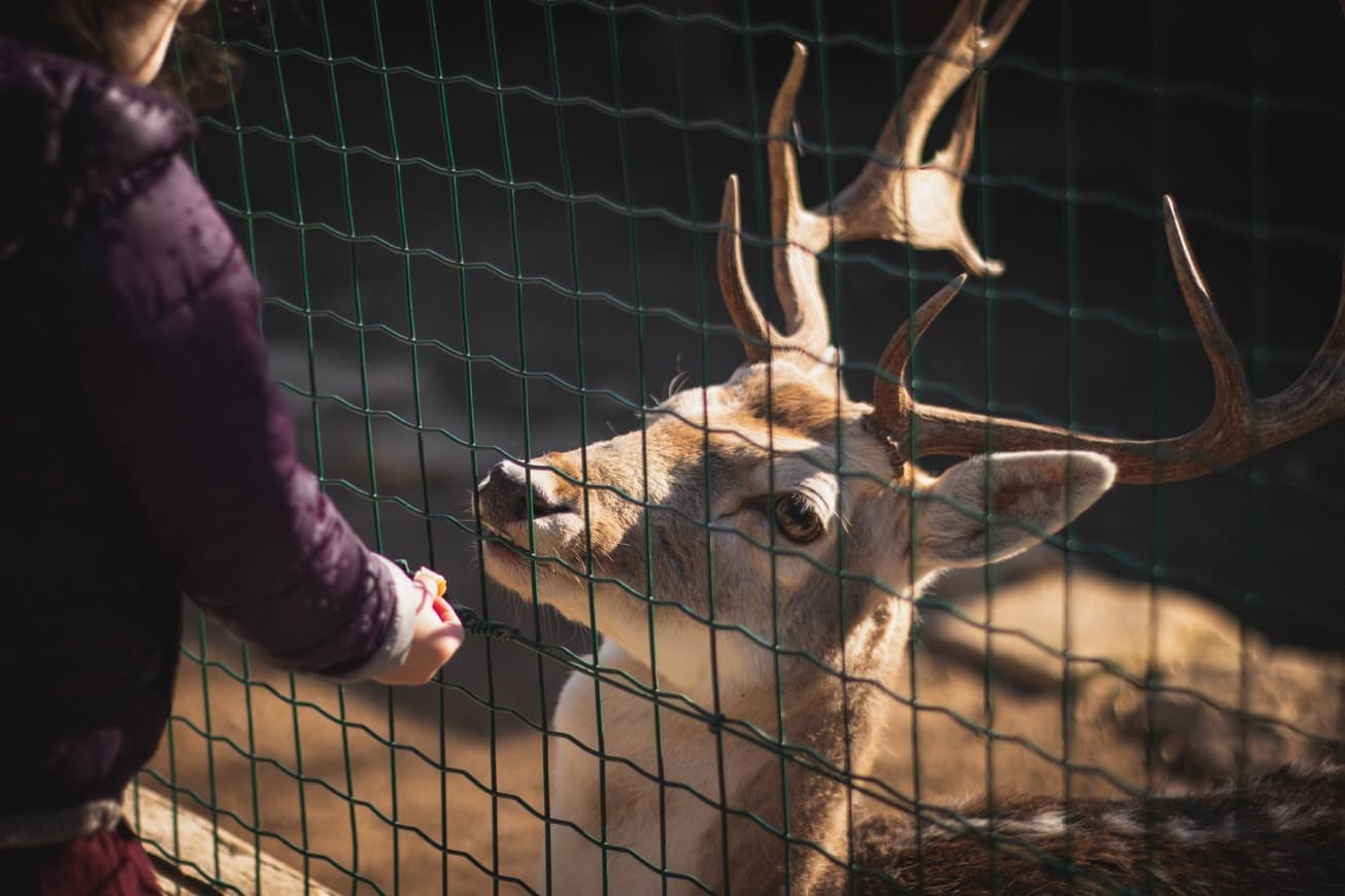 Place Wildpark Bruderhaus