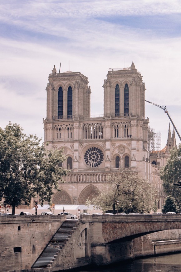 Lugar Catedral de Notre Dame