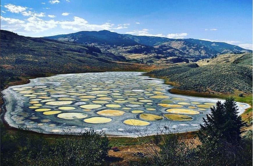 Place Spotted Lake