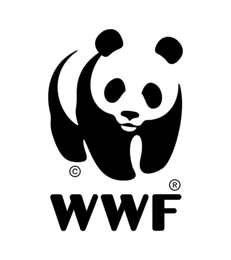 Fashion WWF