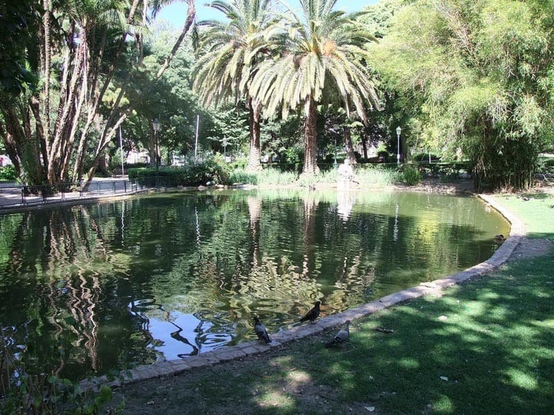 Lugar Jardim da Estrela