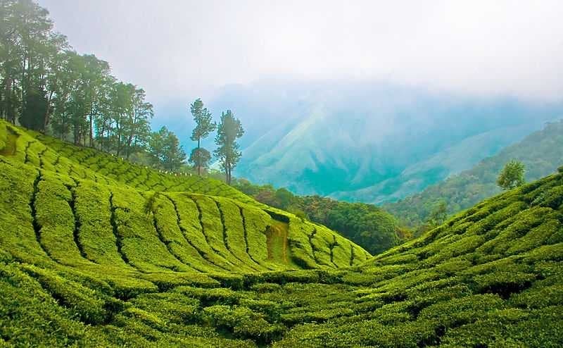 Place Munnar