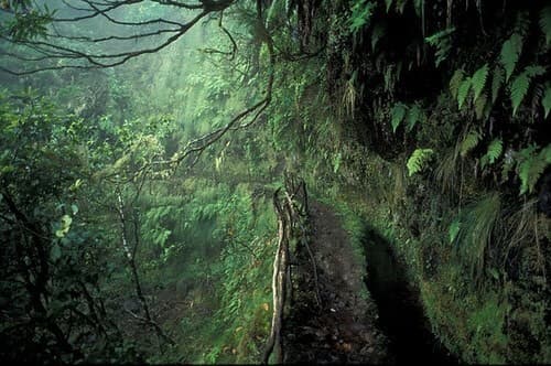 Place Madeira Natural Park