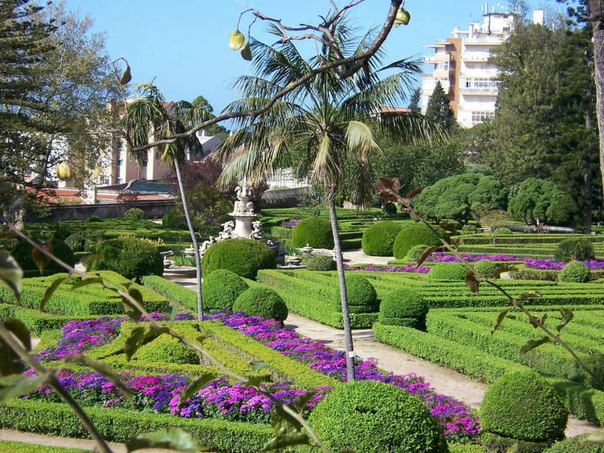 Place Jardín Botánico de la Universidad de Lisboa