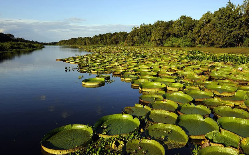 Lugar Esteros del Iberá