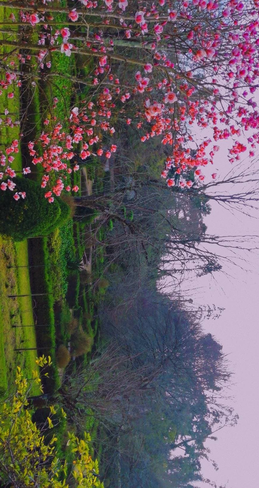 Place Jardim Botânico da Universidade de Coimbra