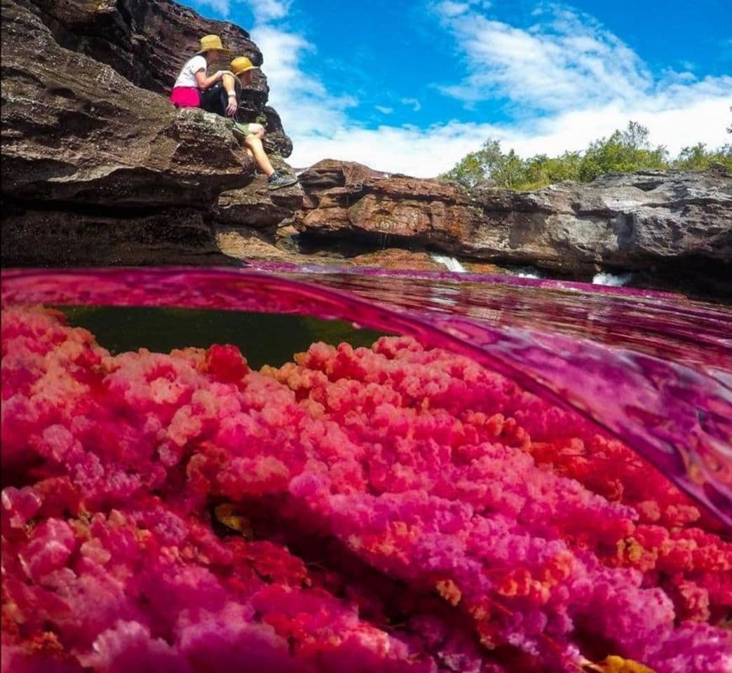 Lugar Caño Cristales