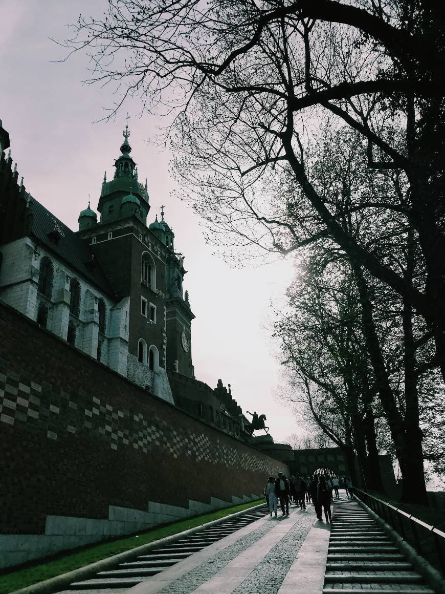 Lugar Castelo de Wawel