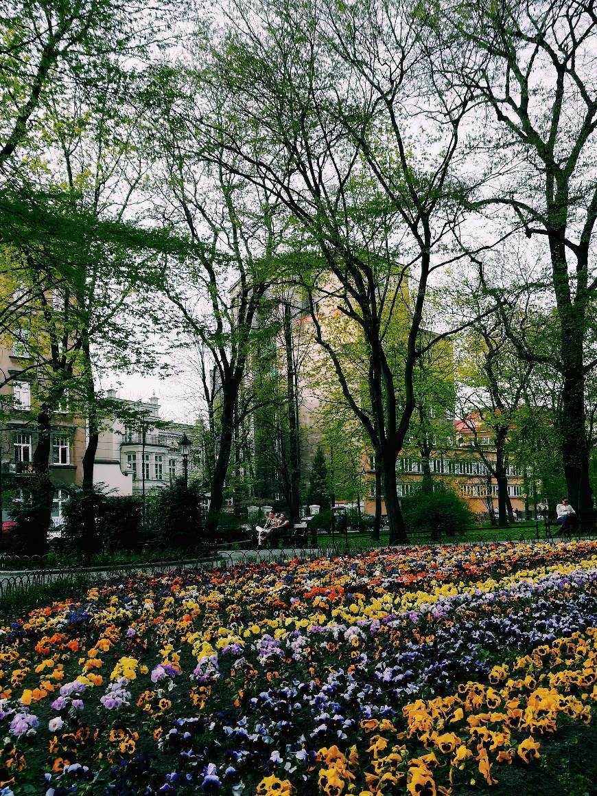 Place Cidade Velha em Cracóvia - Stare Miasto