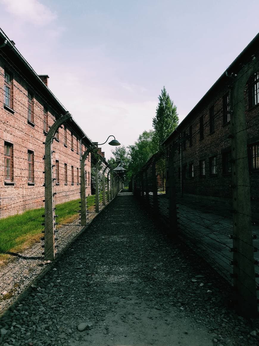 Place Campo de Concentração - Auschwitz & Birkenau