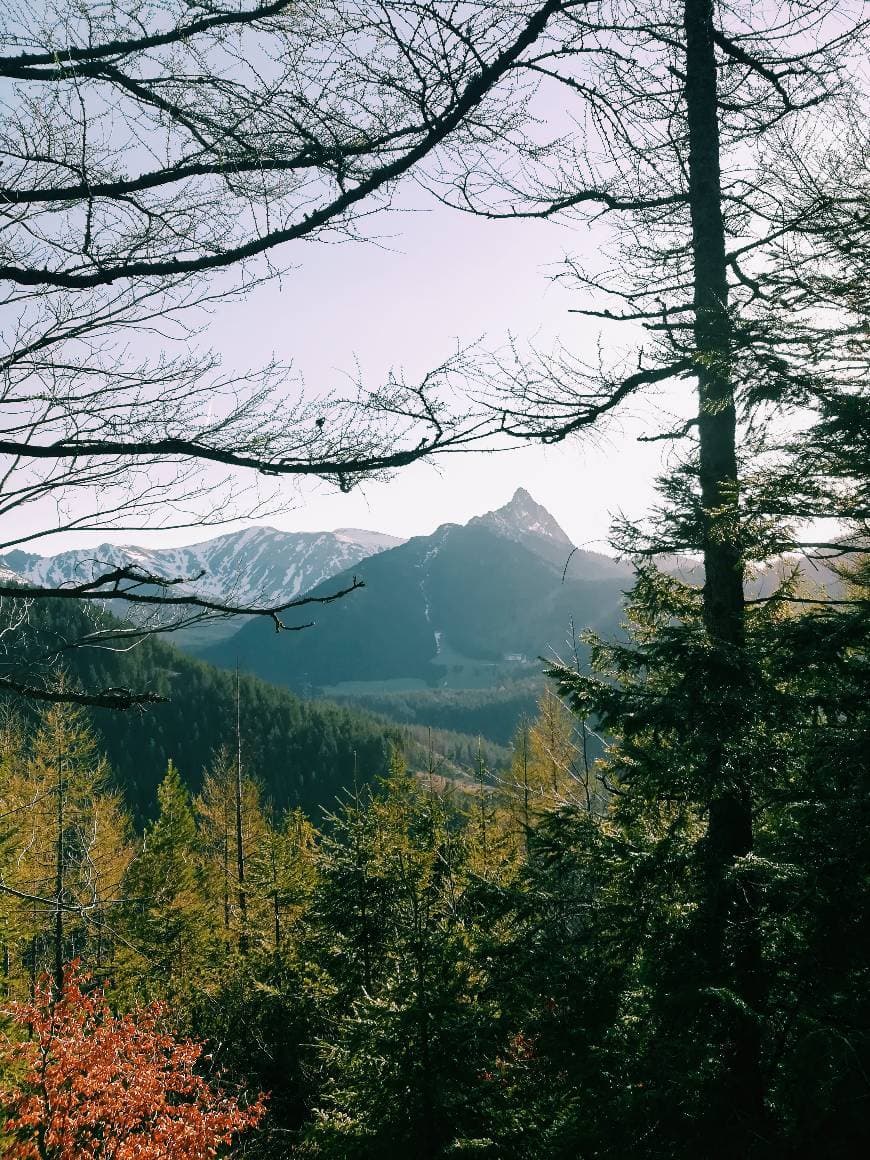 Lugar Tatra National Park