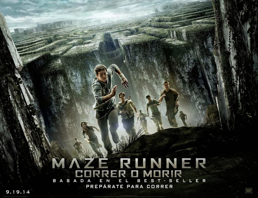 Movie The Maze Runner