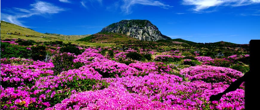 Place Jeju Volcanic Island and Lava Tubes