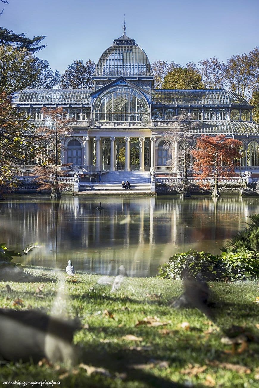 Place Palacio de Cristal