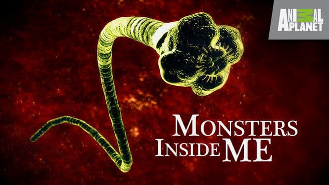 Serie Monsters Inside Me