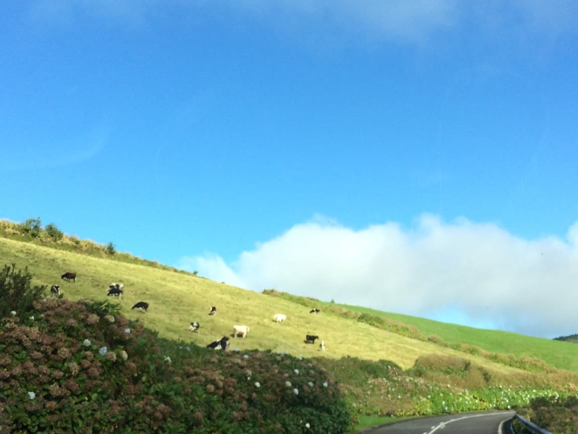 Lugar Açores