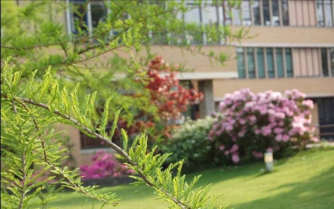 Lugar Jardim Botânico da Universidade de Trás-os-Montes e Alto Douro