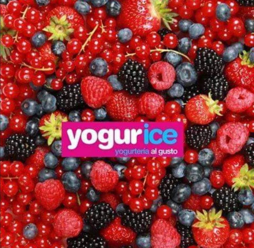 Restaurants Yogurice&food