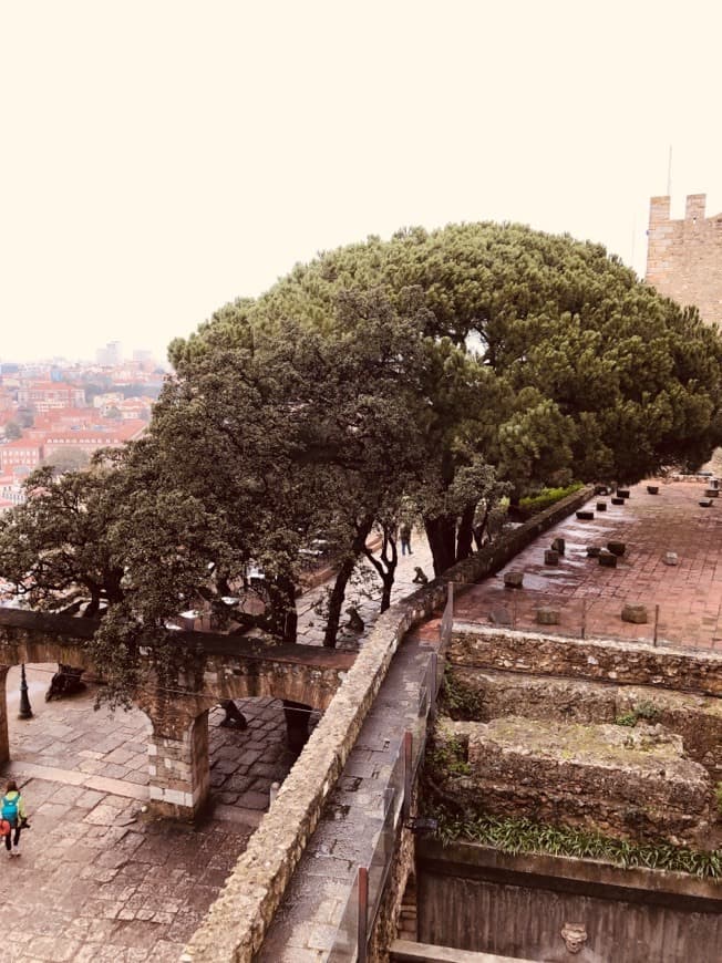 Place Castelo de S. Jorge