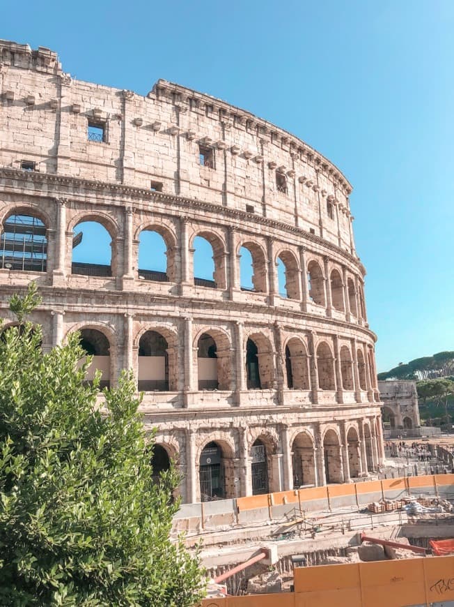 Lugar Coliseo de Roma