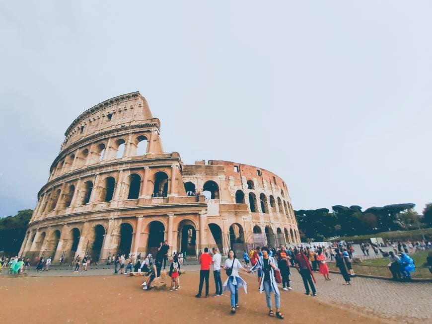 Lugar Coliseo de Roma