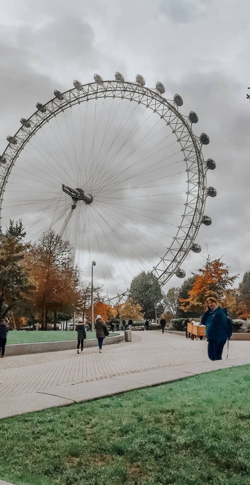 Place London Eye