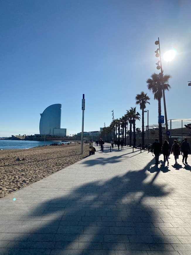 Place Playa de la Barceloneta