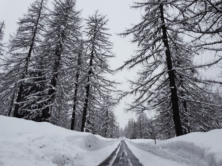 Place Airolo